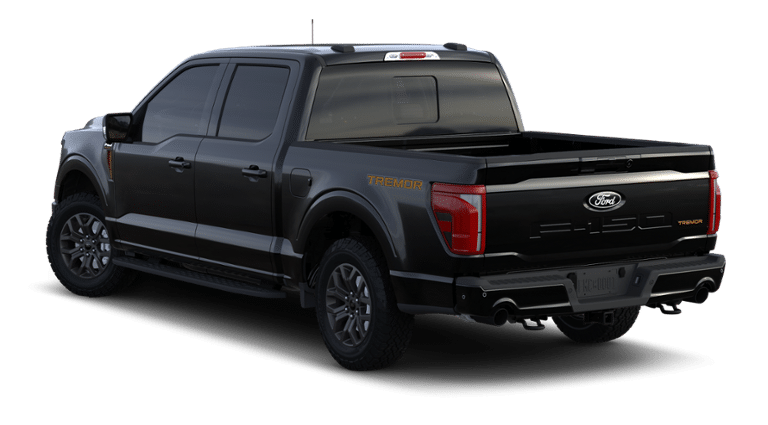 2024 Ford F-150 Vehicle Photo in Weatherford, TX 76087